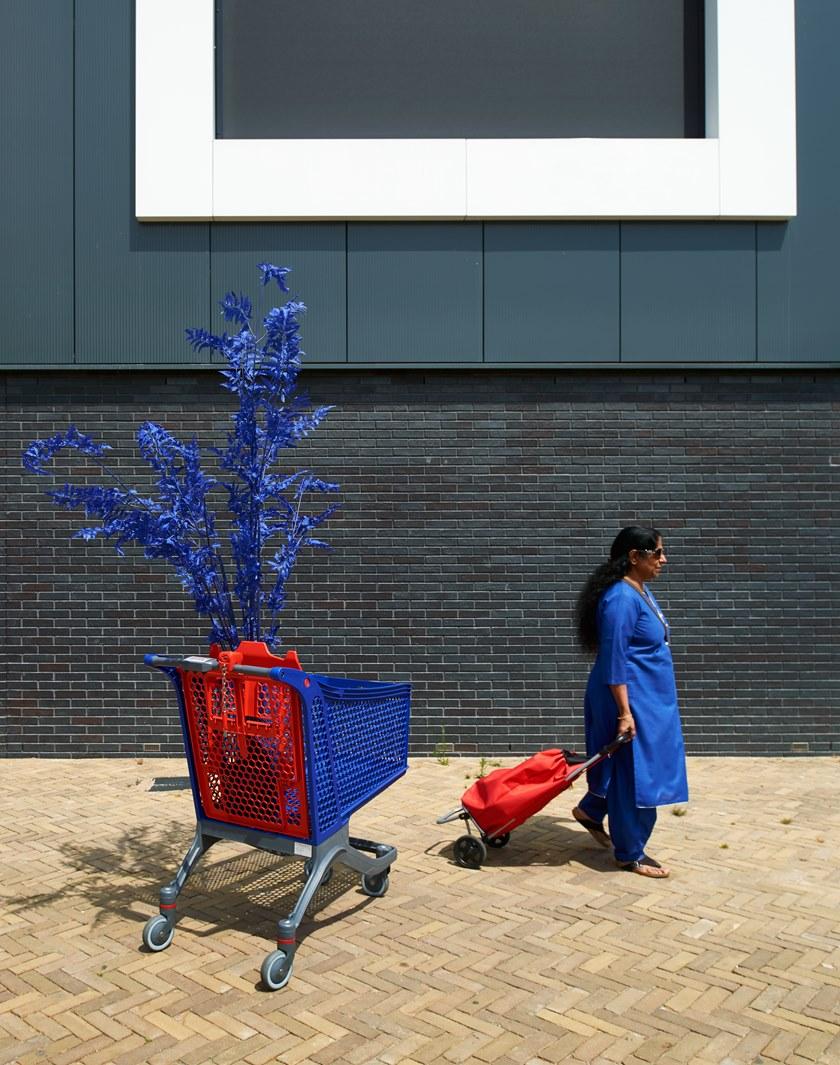 Pols Potten Искусственное растение из пластика  540-300-015  - Вид №2