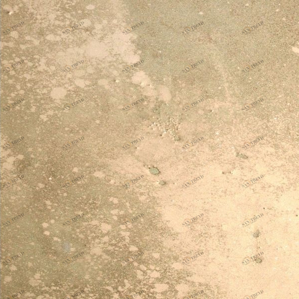 Арт-панель на холсте Alex Turco Abstract Golden Galaxy GOLDENGALAXY