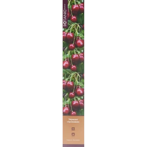 Черешня Гронкавая h 100см в тубе 83738881 STLM-2037274