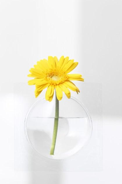 Plus D Настенная ваза из пвх sun-id-1434175 - Вид №1