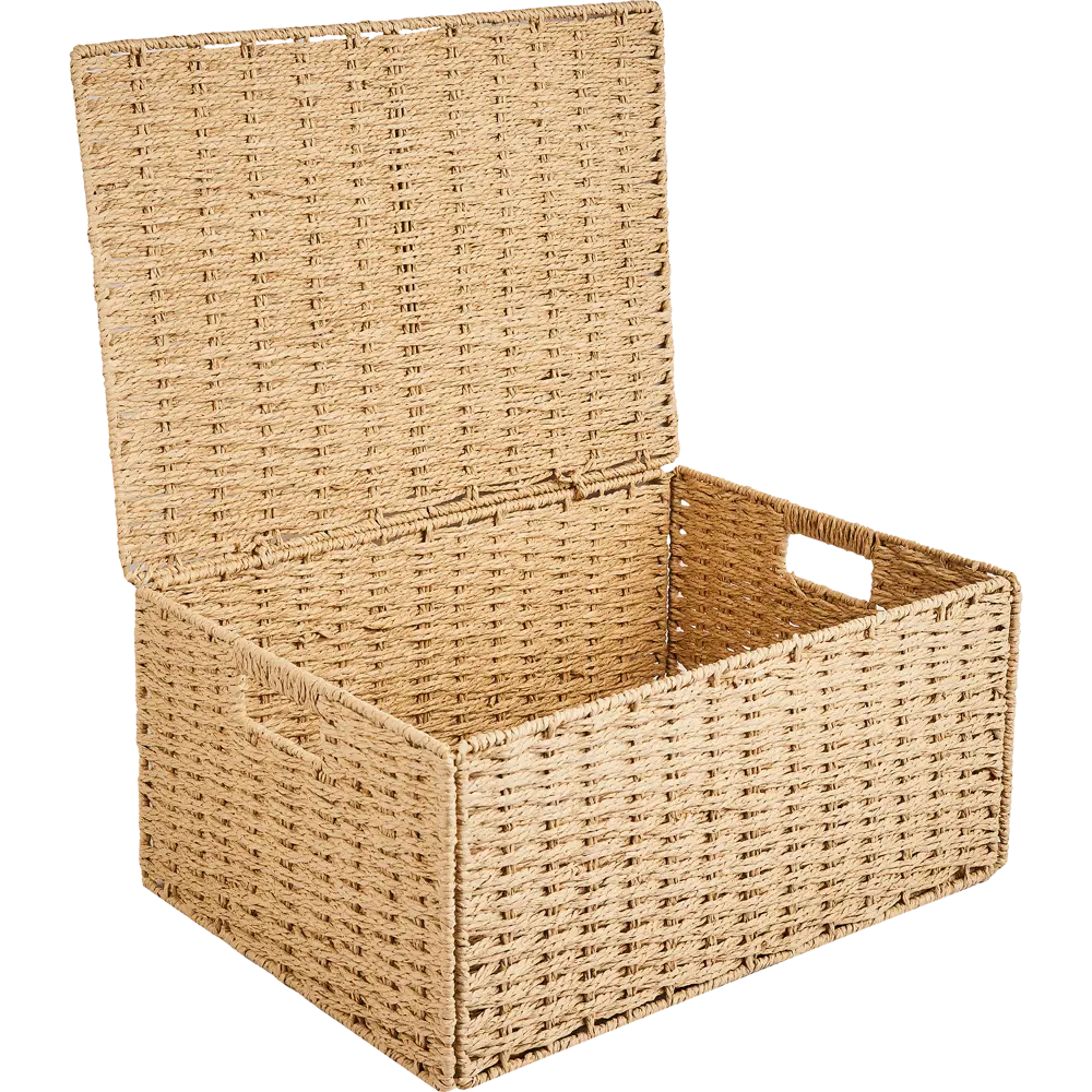 Корзина с крышкой для хранения 45x21x33 см бумага цвет бежевый SPACEO Kub STLM-2198218 - Вид №2