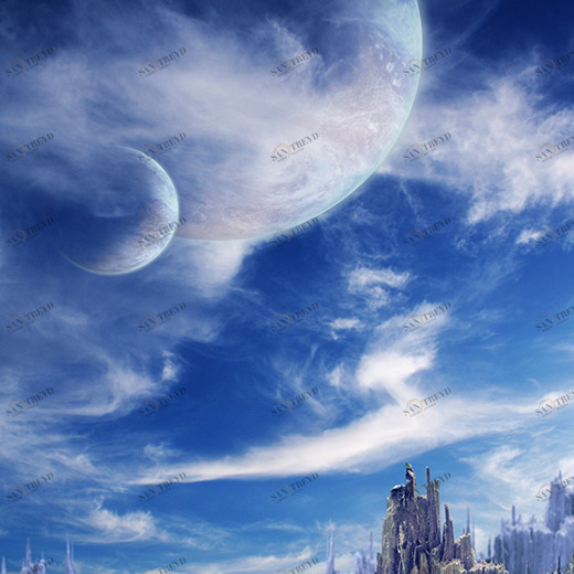 B1-083 Фотообои DIVINO Collection B 2.7х2 м B1083