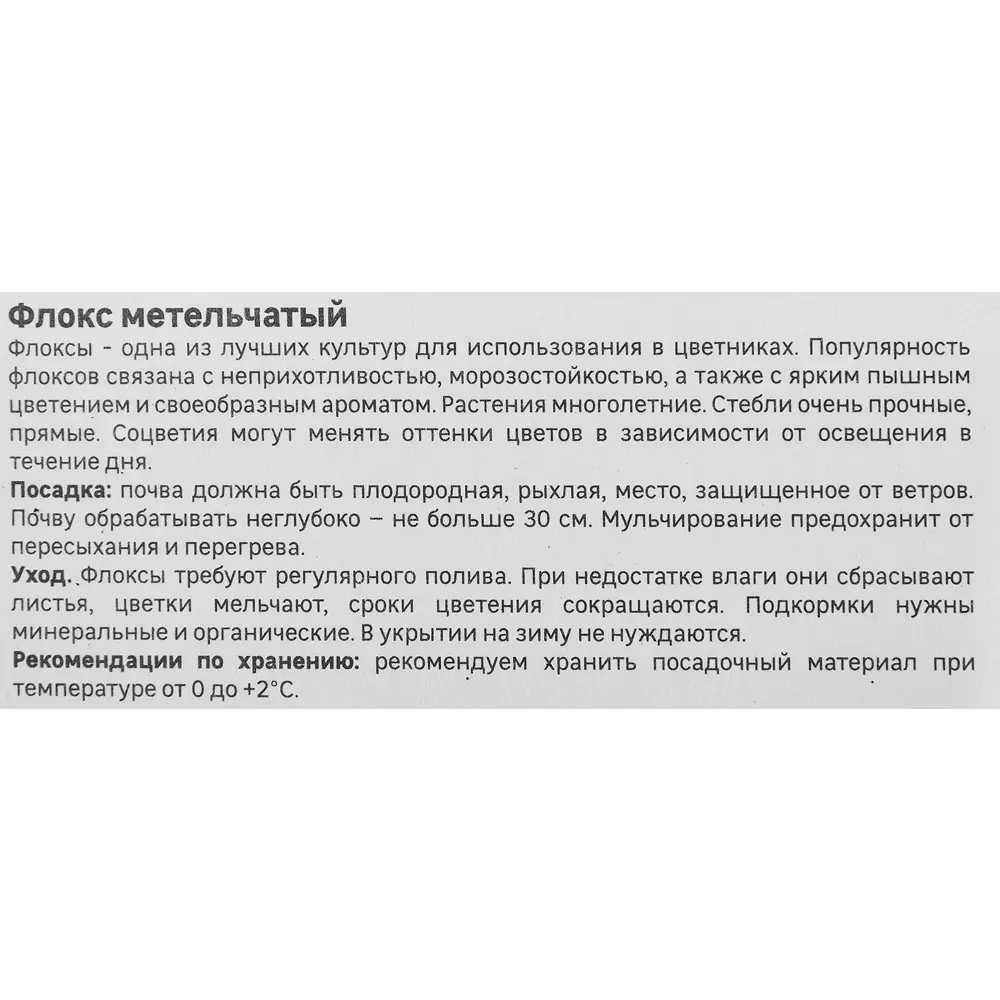 Флокс метельчатый Блу Бой 86408675 STLM-2163013 Santreyd  - Вид №2