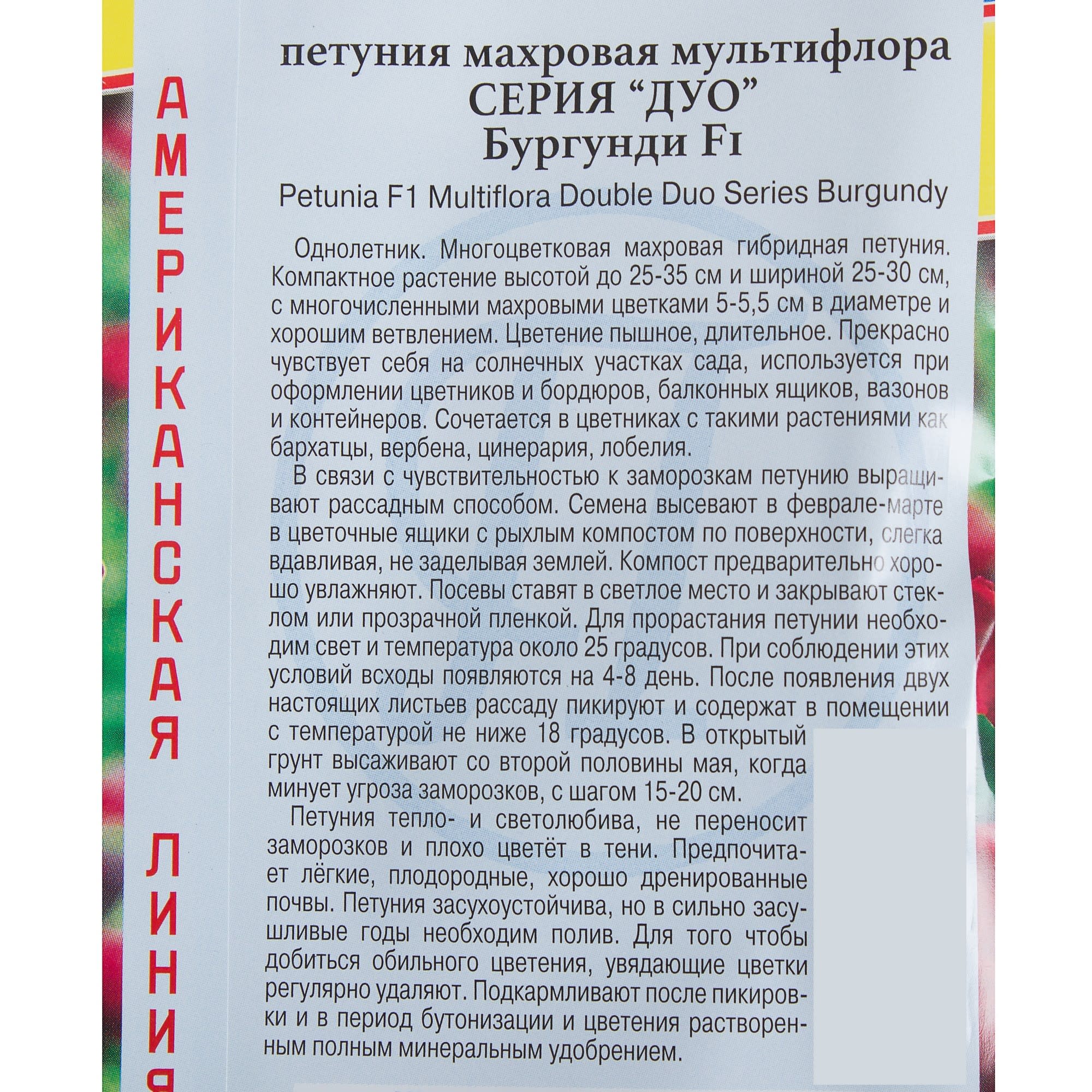81931618 Петуния махровая мультифлора «Дуо» F1, смесь бургунди Santreyd  - Вид №2