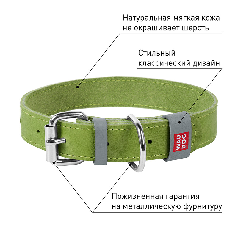 ПР0053719 Ошейник для собак Waudog Classic кожа, металлическая пряжка (шир.15мм, дл.27-36см) салатовый COLLAR  - Вид №2
