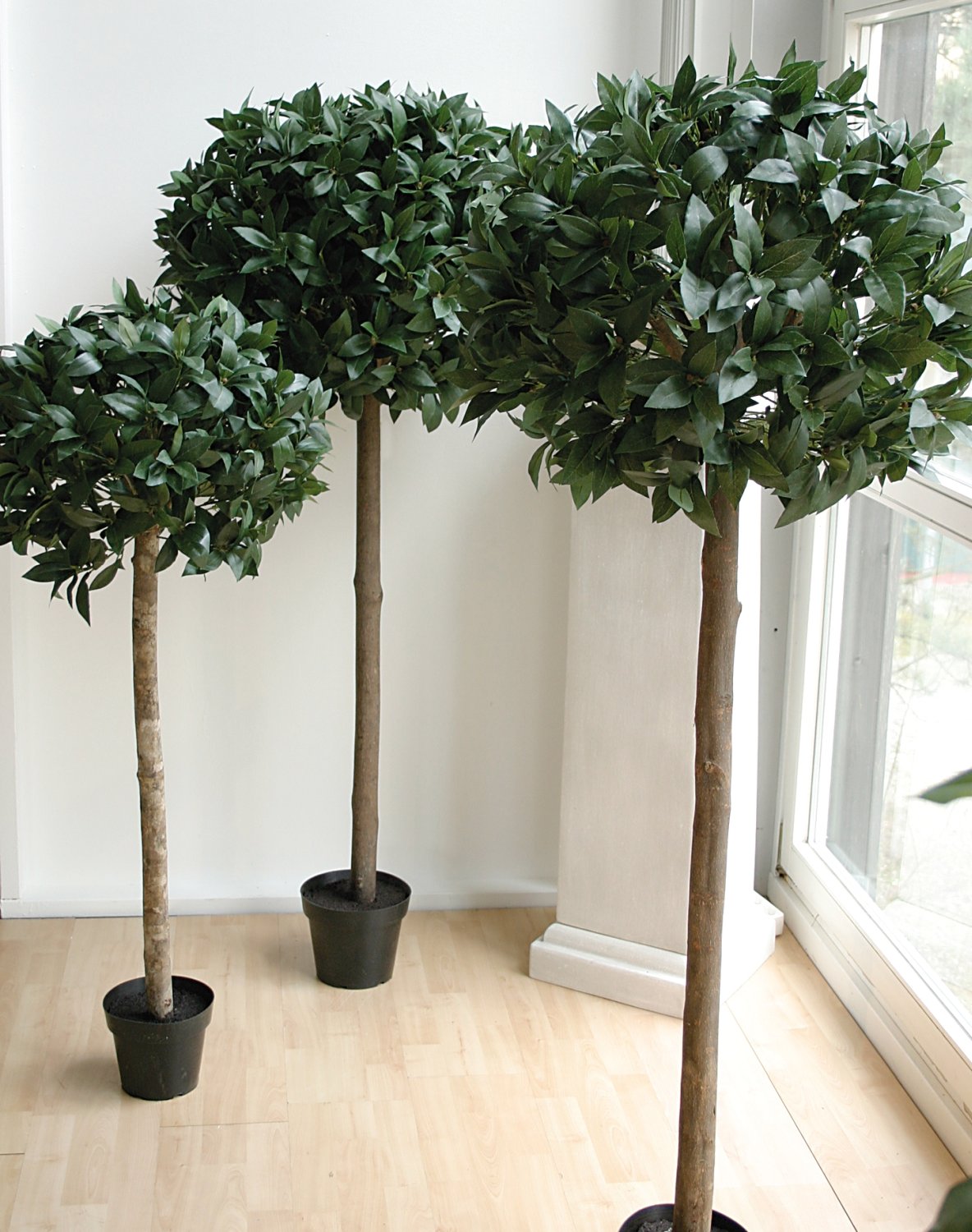 5750 883 a3 Искусственный лавровый шар, горшок, 945 листьев, 150 см, зеленый H-andreas  - Вид №4