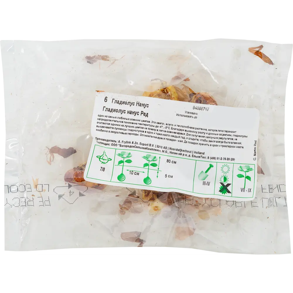 Гладиолус нанус «Ред», диаметр луковицы 70 мм, 6 шт Santreyd STLM-2166341