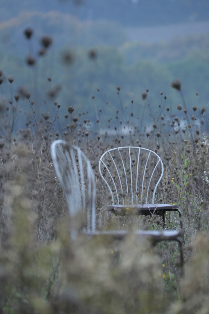 Flint 535-B Стул со стальным каркасом на 4 ножках и спинкой, сиденьем из полиамида или дерева ироко. Et al. Flint - Вид №6