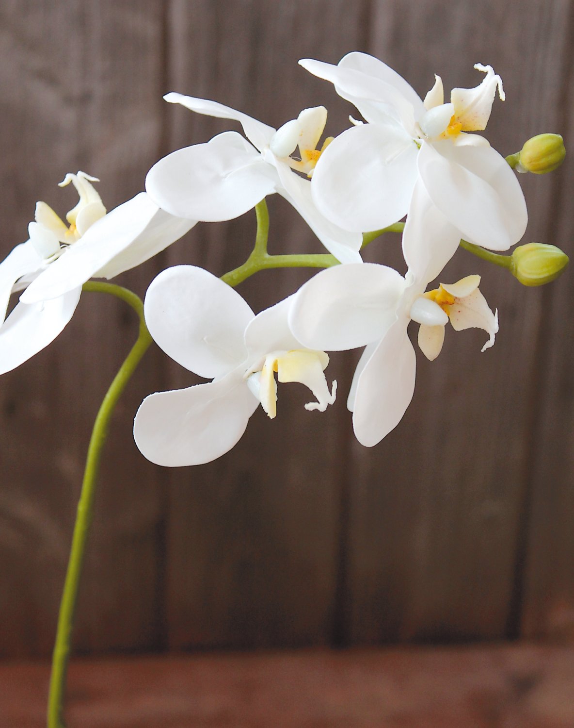 2601 777 a3 Искусственная орхидея Phalaenopsis, 37 см, real touch soft, белая H-andreas  - Вид №3