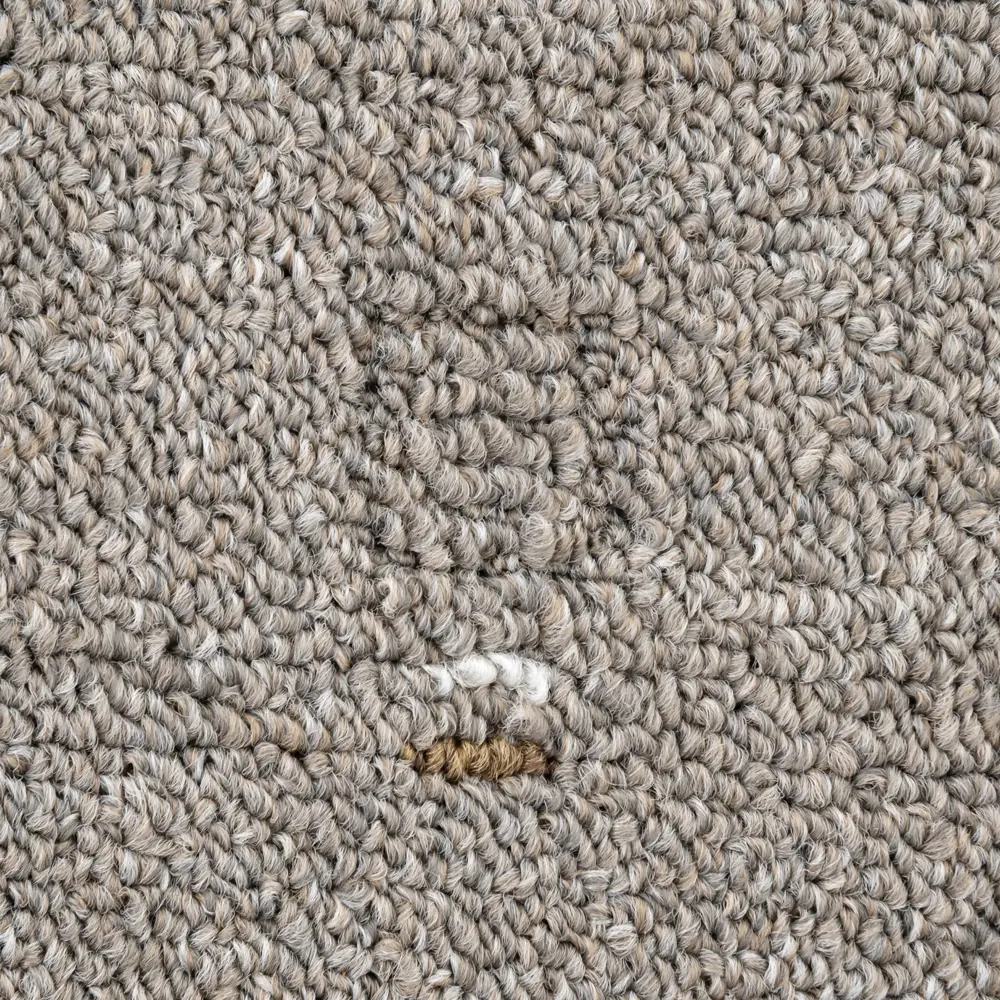 Ковровое покрытие «Нил 008_04271», 2 м Santreyd STLM-2102533 - Вид №1