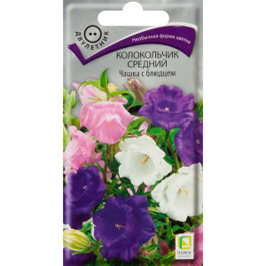 ПОИСК Колокольник Чашка с блюдцем - семена цветов для сада 83577571