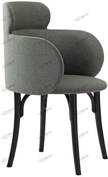 Wiener GTV Design Стул с обивкой и подлокотниками sun-id-1349572