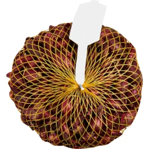 Лук-севок Кармен МС 0.5 кг