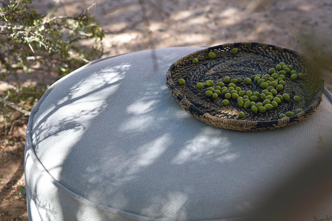 MNST1312 Тач пуф лотос ваниль 52 Manutti Poufs  - Вид №8