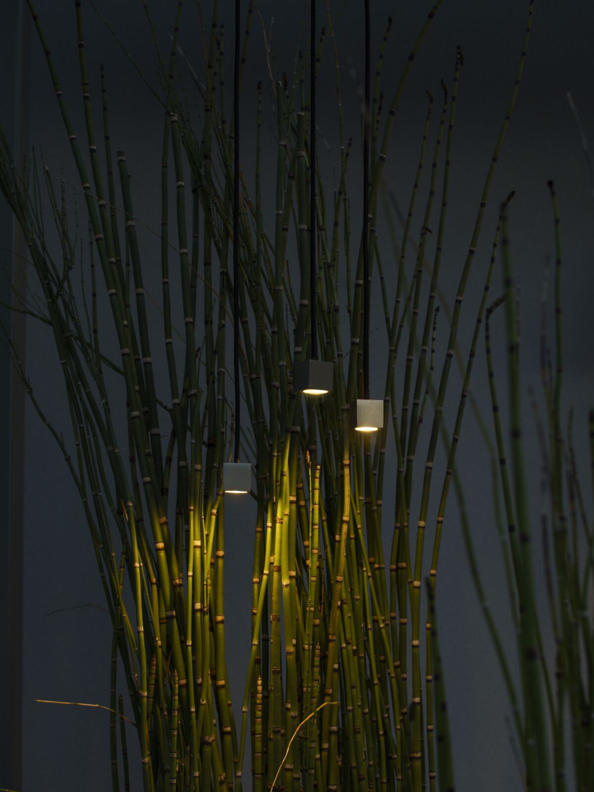 Мини-светодиодный прожектор из нержавеющей стали Stral UBICA ARCH-00118726 - Вид №2