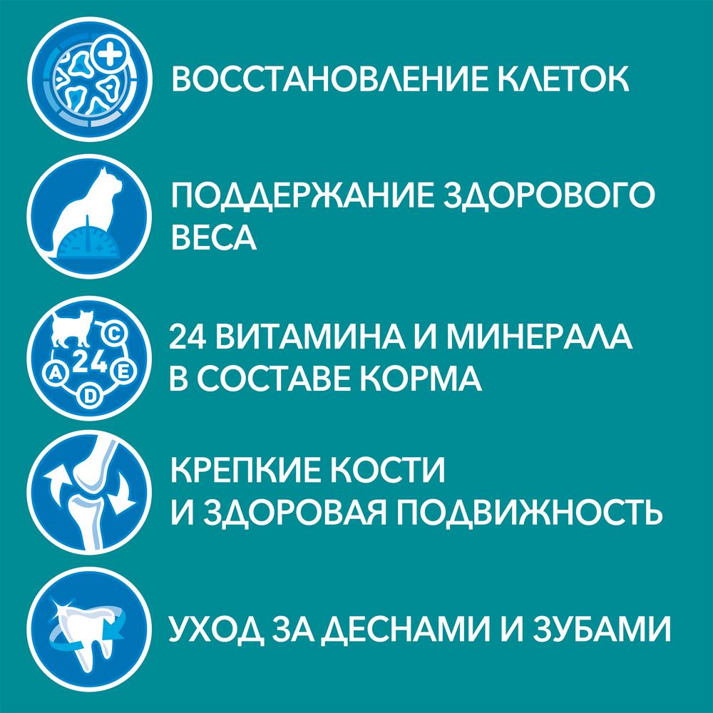 ПР0059660 Корм для кошек 11+ для пожилых, курица, цельные злаки сух. 750г ONE  - Вид №2