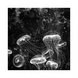 Панель / Entrance