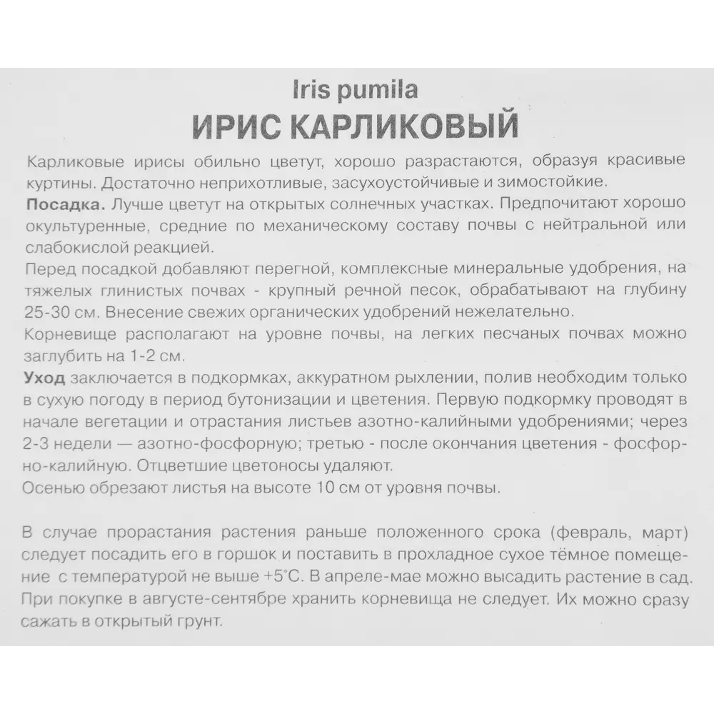 Ирис карликовый Черри Гарден 85204848 STLM-2118348 ПОИСК  - Вид №2