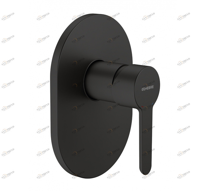 GENEBRE 65115 19 41 66 Смеситель для душа, однорычажный, встроенный 