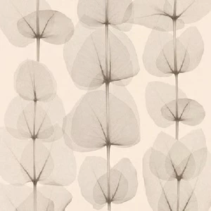 34245-1 Обои A.S. Creation X-Ray