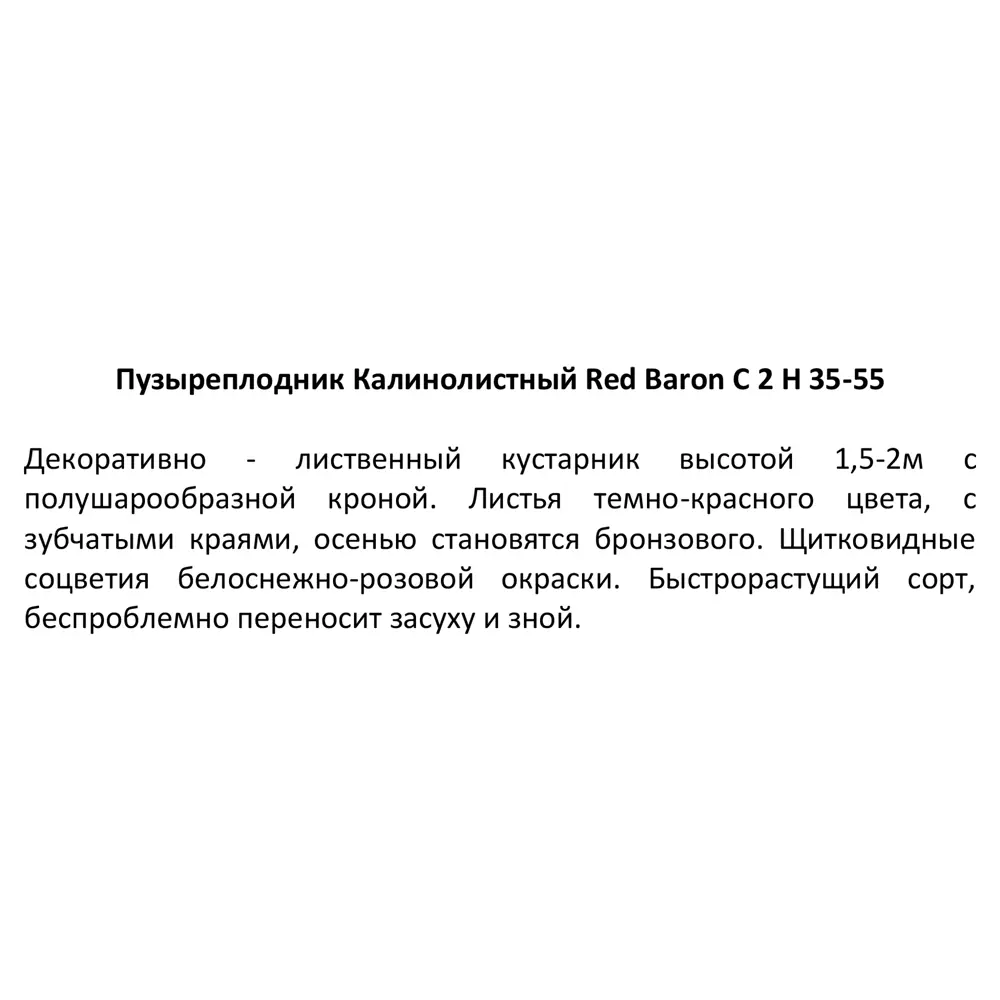 Пузыреплодник Red Baron от Santreyd - декоративный кустарник с красной листвой 85292565 STLM-0949327 - Вид №3