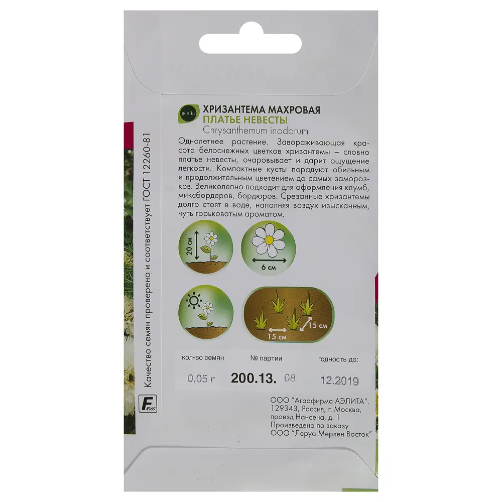 GEOLIA Хризантема махровая 'Платье невесты' - белоснежное украшение сада 17585640 STLM-0008397 - Вид №1