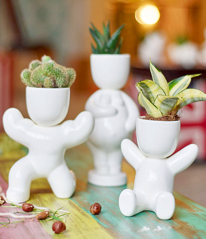 Набор для выращивания eco "Малыш" ЭКОЧЕЛОВЕКИ  254573 Белый  - Вид №6