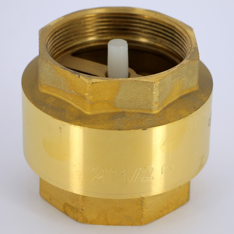 Клапан обратный пружинный EURA EXPORT с пластиковым затвором F.I.V. 2"1/2 FIV 08030212 - Вид №1