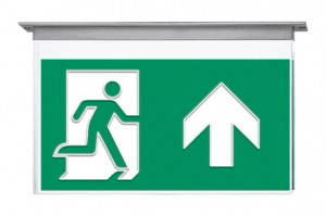 DST-2203 Vir-t Daisalux Светильники сигнальные Серебристо-Серый