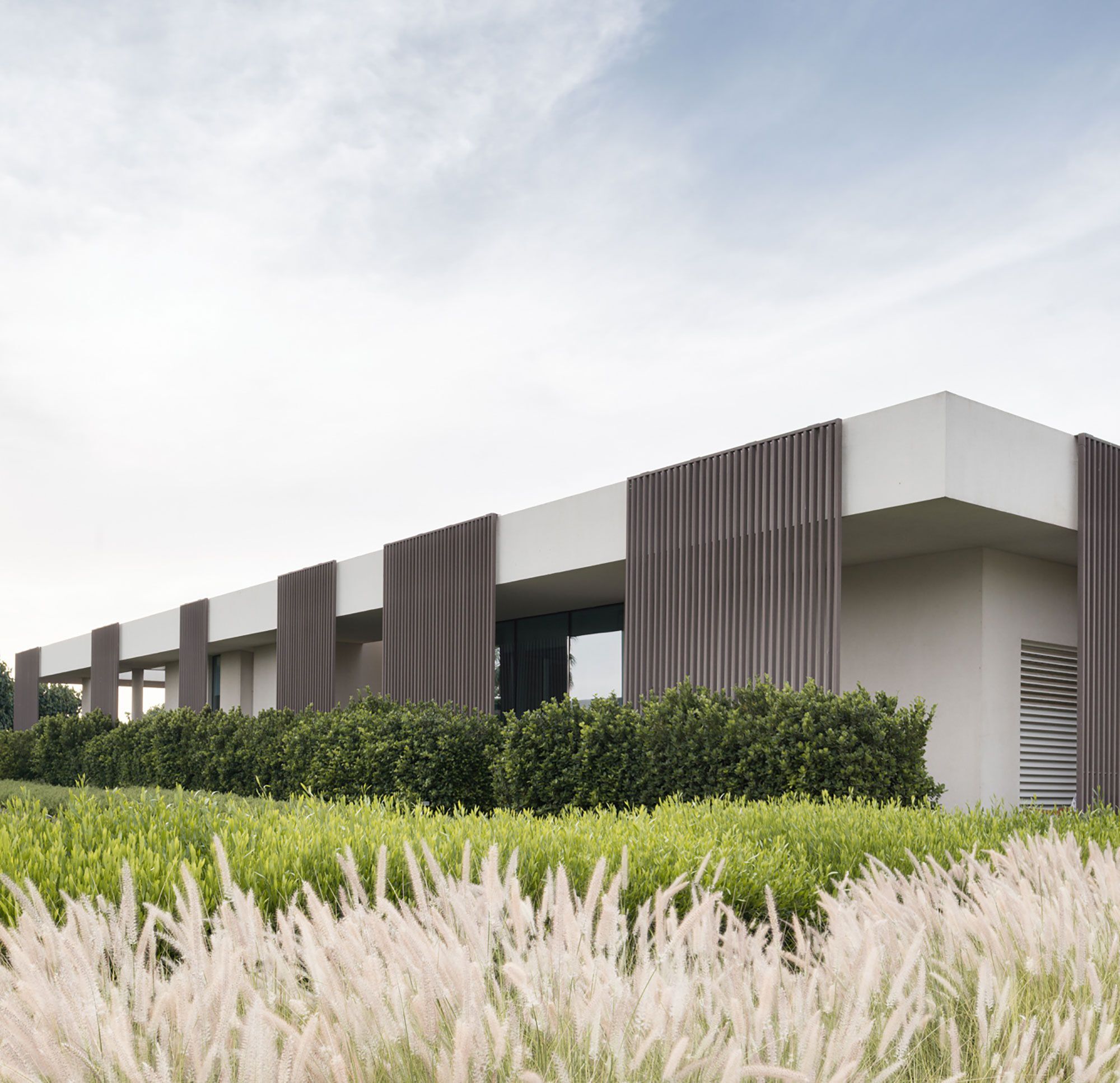 Композитные деревянные Frangisole Woodn Greenwood Древесина разнообразная ARCH-00022359 - Вид №63