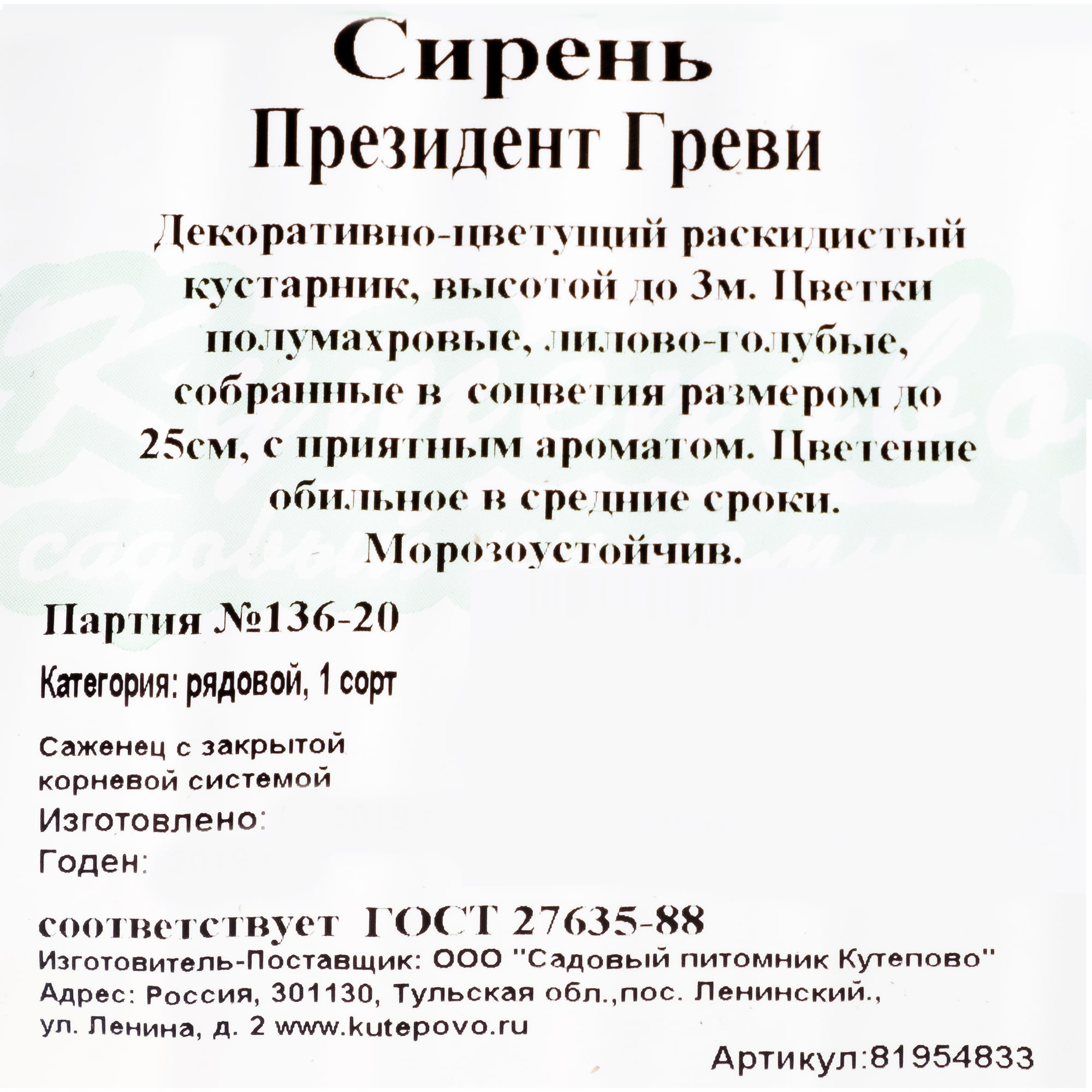 81954833 Сирень С2 «Президент Греви» h30 Santreyd  - Вид №1