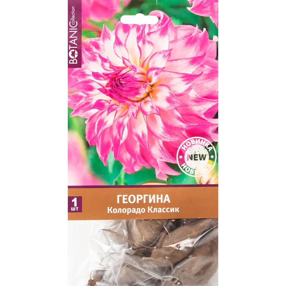 Георгина Колорадо Классик I, 1 шт 82539314 STLM-2098947 Santreyd 