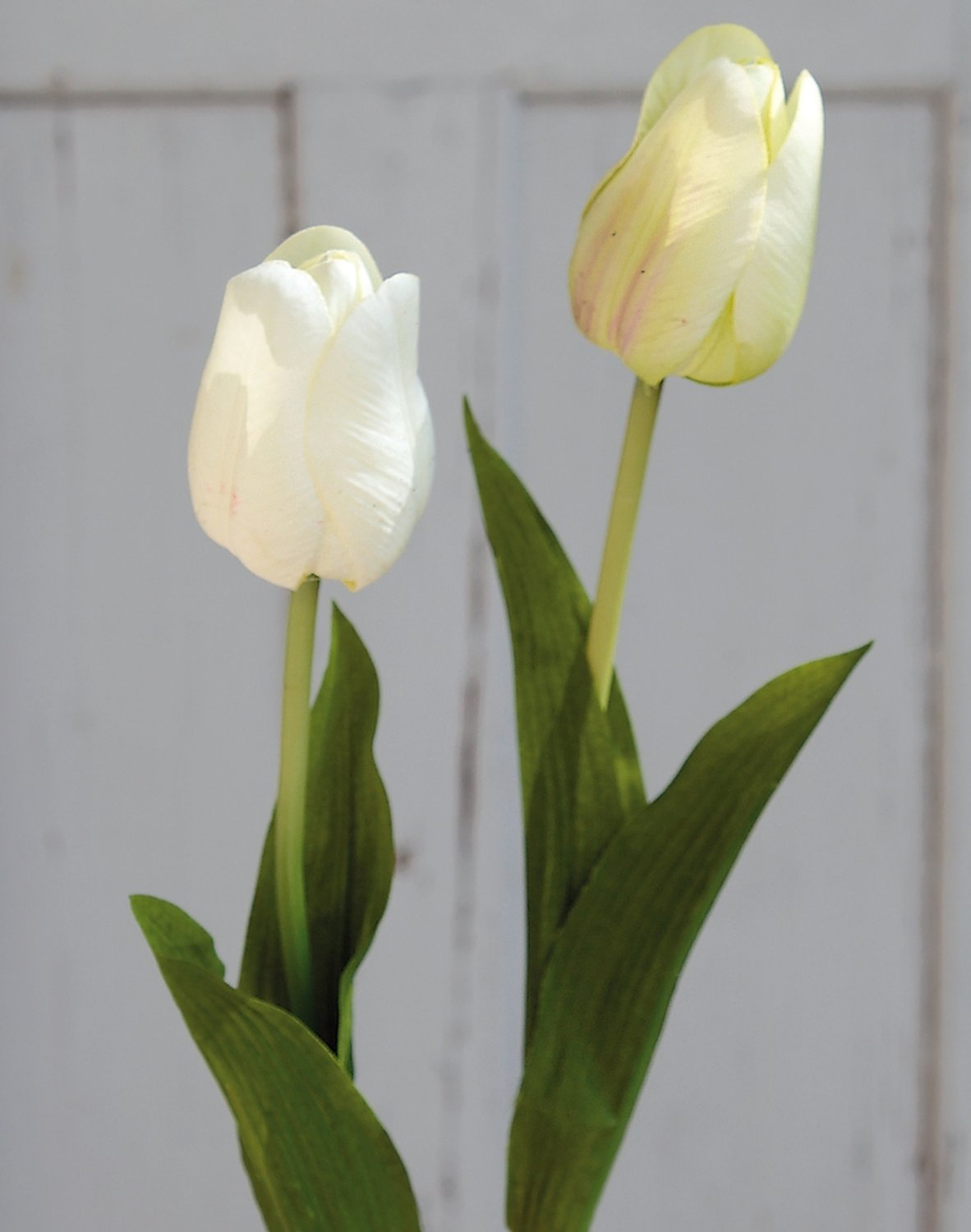 3115 788 a2 Искусственный тюльпан, 57 см, real touch, бежево-зеленый H-andreas  - Вид №2