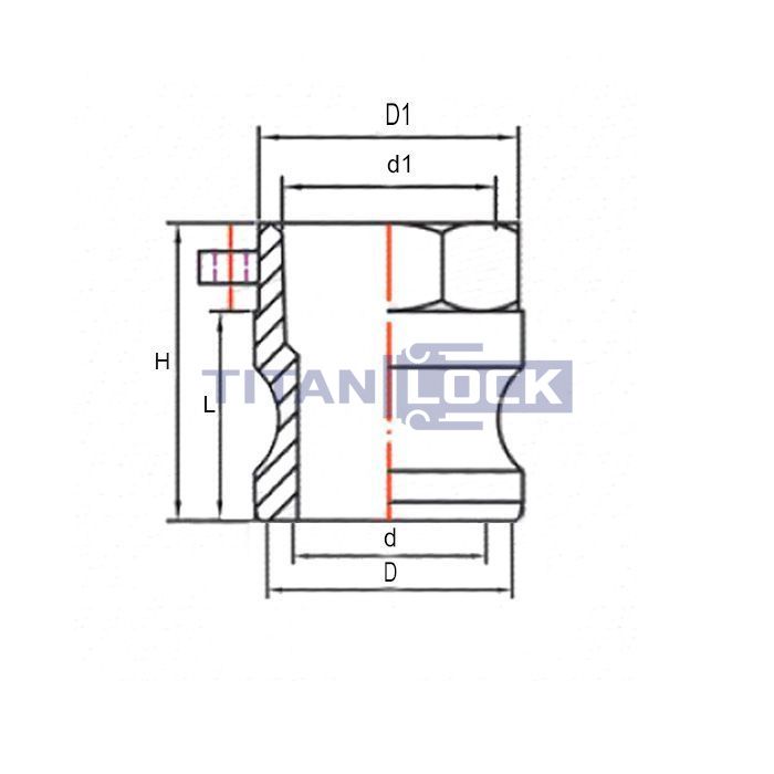 Камлок нержавеющий тип A ниппель, внутр. резьба BSP 1/2", AISI304, TL50ASS TITAN LOCK  - Вид №1