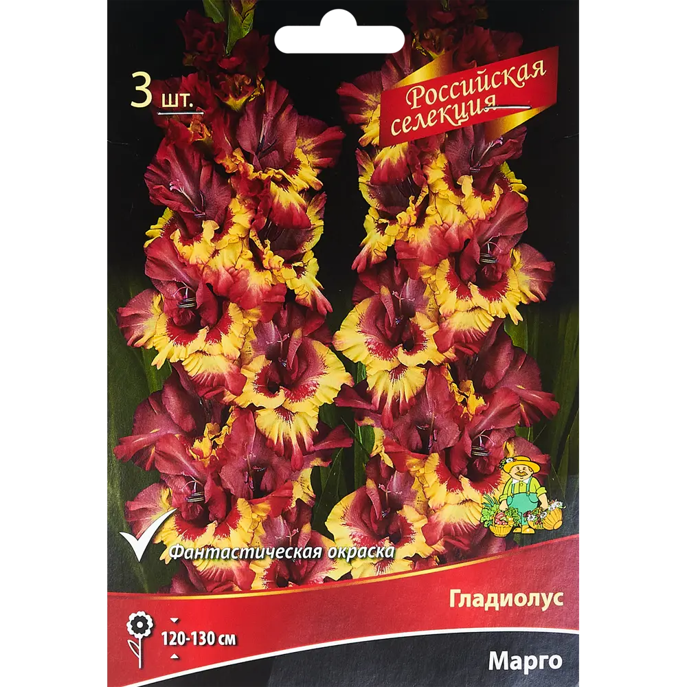 Гладиолус Марго, 3 шт 86410013 STLM-2163057 ПОИСК 