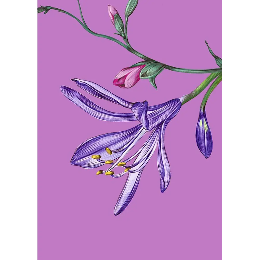 Постер В розовом цвете 21x29.7 см 2 шт АРТ ДИЗАЙН STLM-2137030 - Вид №1