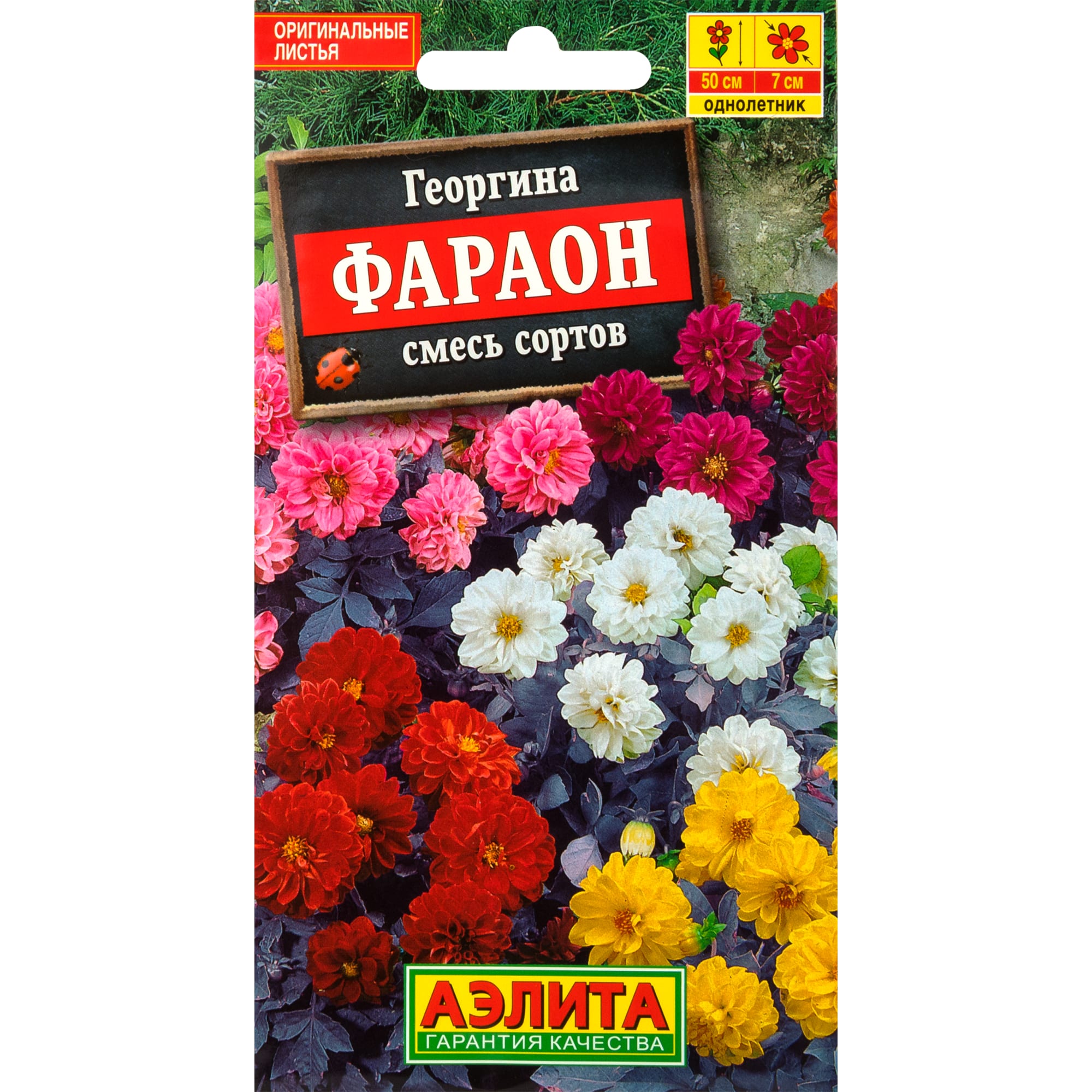 83495442 Семена Георгина изменчивая «Фараон» микс Santreyd 