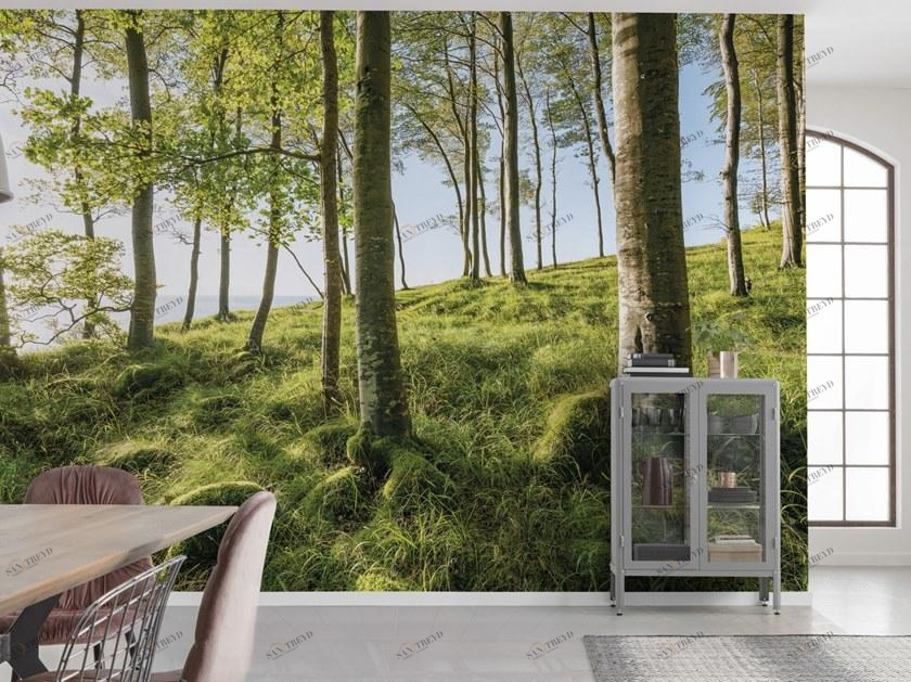 Komar Флизелиновые обои с пейзажами Wanderlust Shx9-102