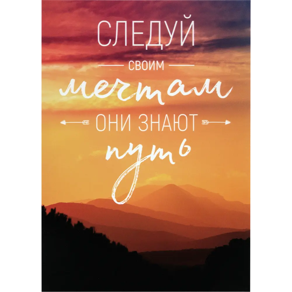 Постер на ПВХ «За мечтой» 25x35 см 82441674 STLM-2135314 Santreyd 
