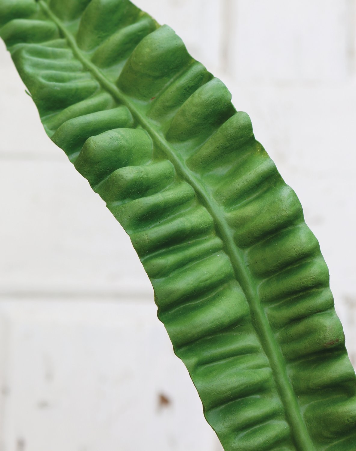 5884 883 a3 Лист папоротника искусственное гнездо, 97 см, зеленый H-andreas  - Вид №1