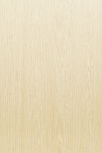 Панель ПВХ Дуб беленый Ламинированная панель  250мм