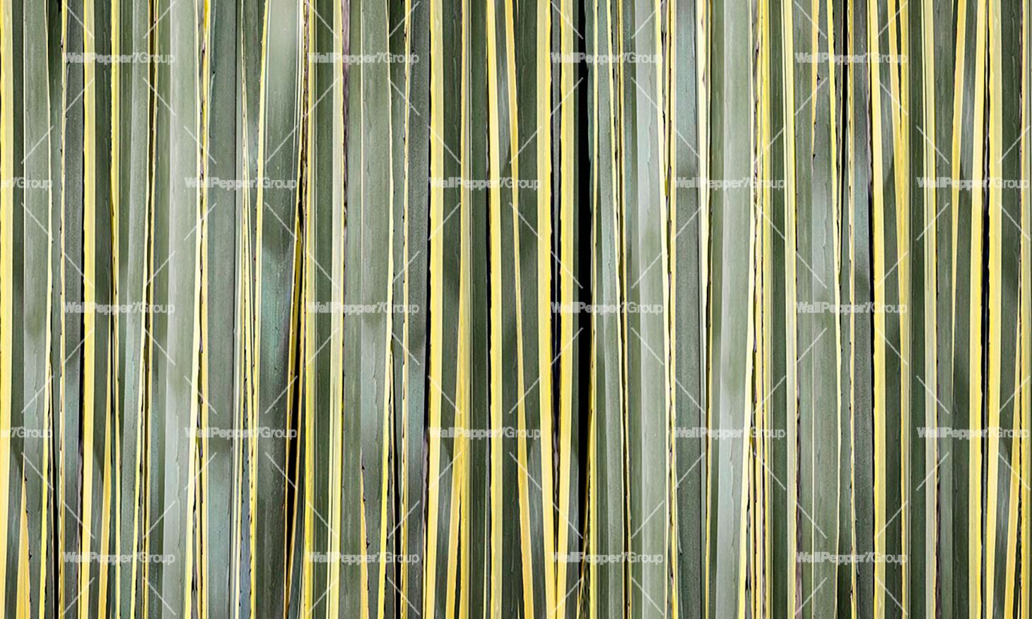 Тропические обои ПВХ бесплатно, экологически чистые, моющиеся WallPepper окружающая среда ARCH-00054084 - Вид №2