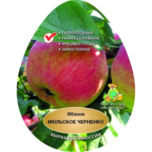 Яблоня Июльское Черненко сетка h180 см 86543924 STLM-2136662