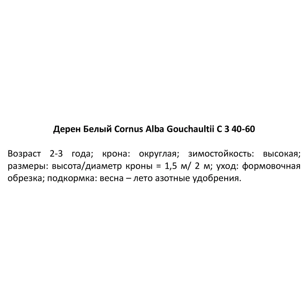 Дёрен белый «Гоучалти», С3/40-60 см 18468576 STLM-2034877 Santreyd  - Вид №2