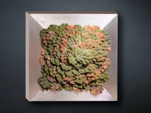 VGnewtrend Овощной каркас  1141611.60