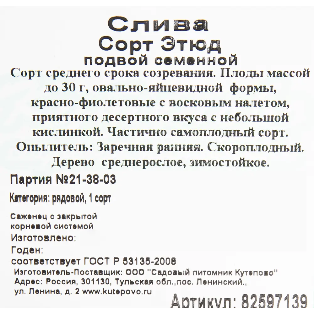 Слива «Этюд» C7 высота 180 см 82597139 STLM-2164172 Santreyd  - Вид №1