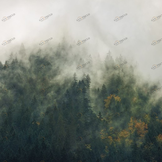 SH036-VD3-Tales-of-the-Carpathians Фотообои Komar Stefan Hefele 2х3 м SH036VD3TALESOFTHECARPATHIANS