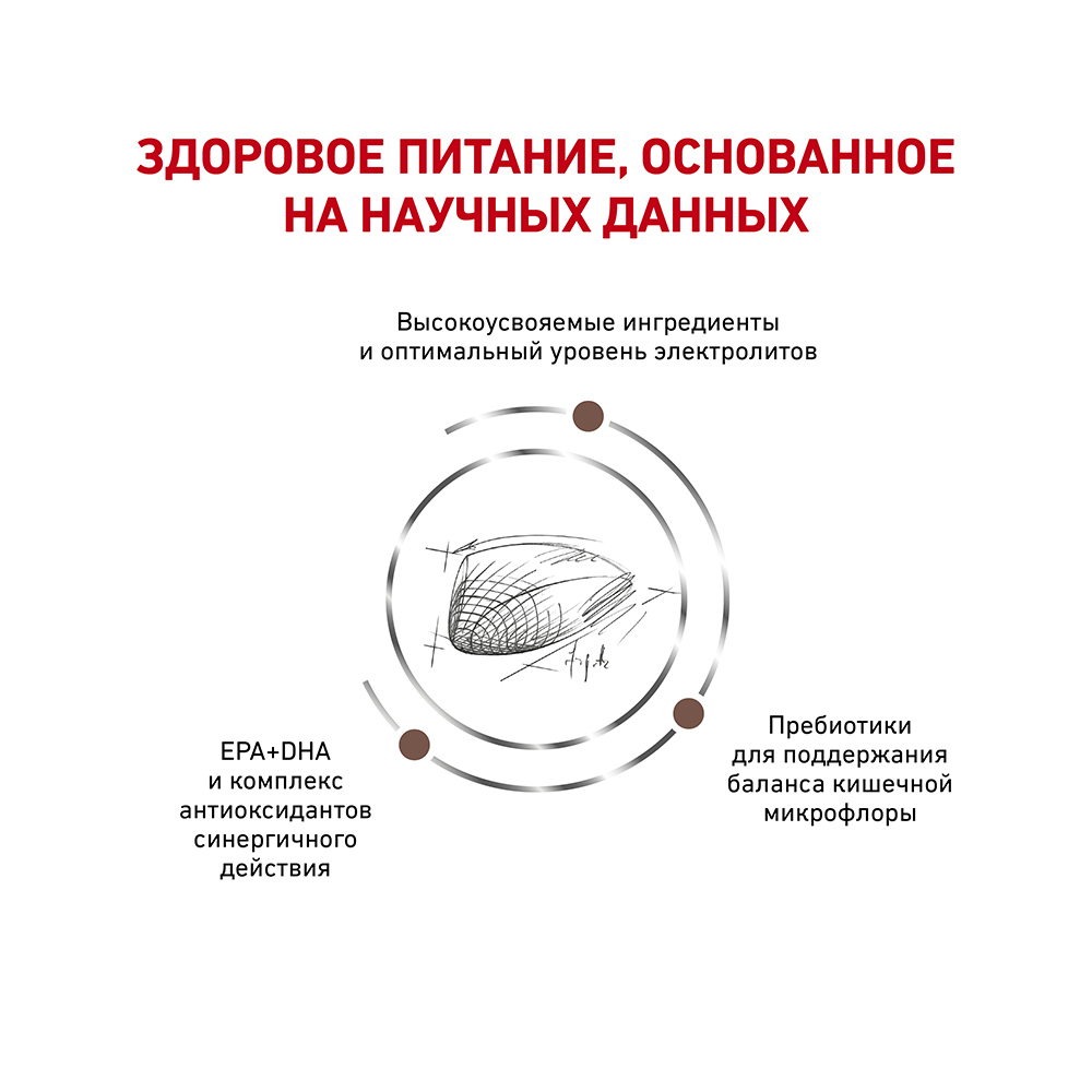 Т0055620 Корм для кошек Vet Diet Gastro Intestinal GI32 при нарушении пищеварения, птица сух. 400г ROYAL CANIN  - Вид №3