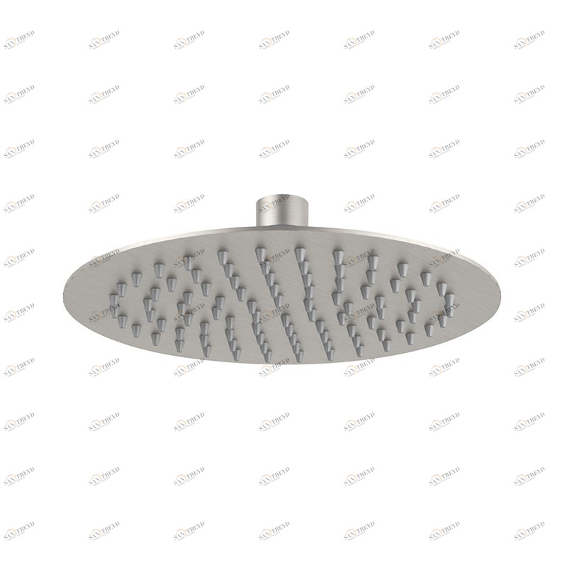 SSA578 Лейка для душа DANIEL RUBINETTERIE 