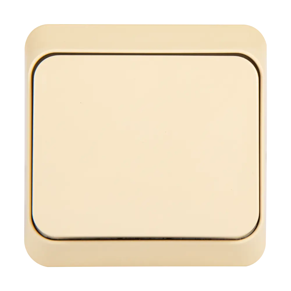 Выключатель одноклавишный SYSTEME ELECTRIC Этюд для элегантного освещения 11401619 Серия отсутствует STLM-0001232